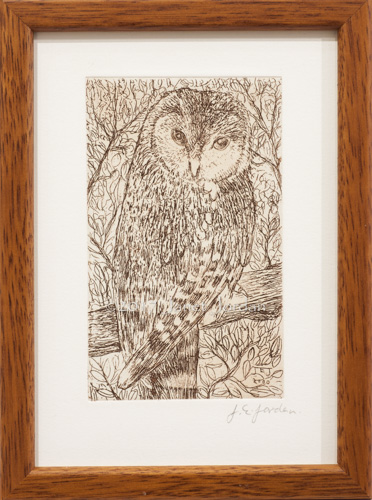 Owl  (code AJ)