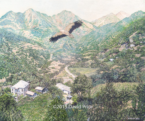 Egyptian Vulture over Central Greece - Collectors Edition