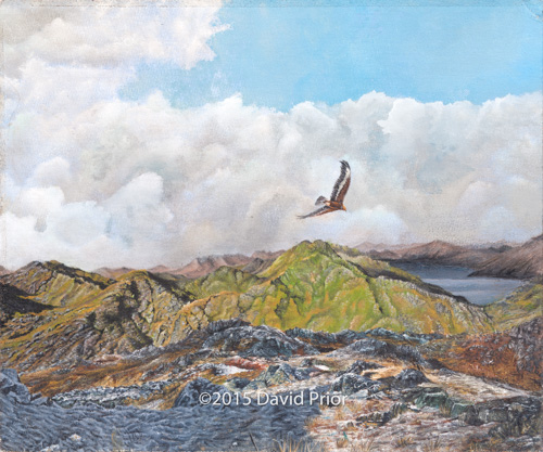 Soaring Golden Eagle over the Highlands - Collectors Edition