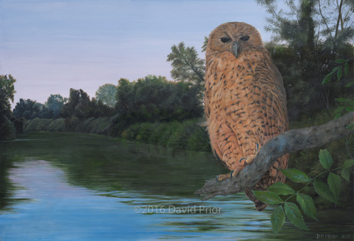Dusk Settles on Pel's Fishing Owl- Collector's Edition