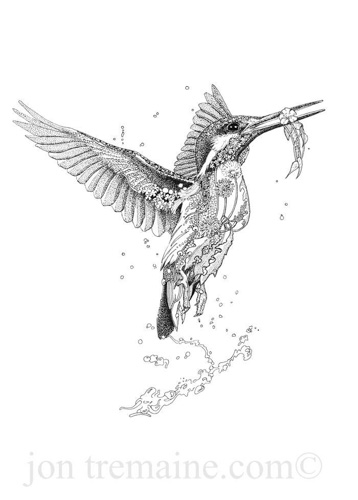 Kingfisher (Flying)
