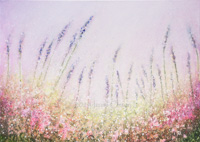 Beauty (Lavender Mist)