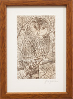 Owl  (code AJ)